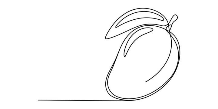 Continuous single line drawing of a fresh mango fruit with a leaf Vector, illustration