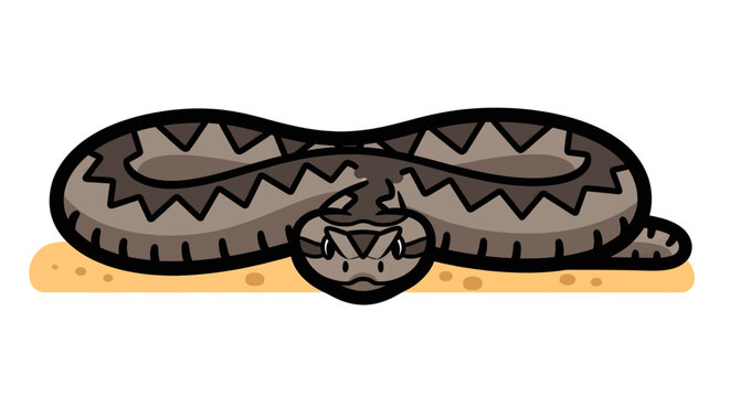 Snake Coiled Reptile Closeup Illustration.