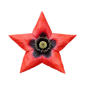 PNG Red star-shaped flower element.