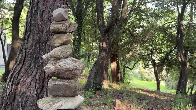 Cumulo di sasso in un bosco
