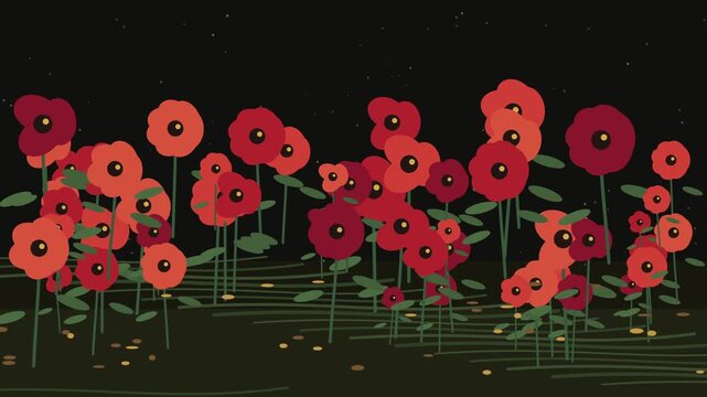 Flat vector illustration of red poppy flowers blooming at night under starry sky