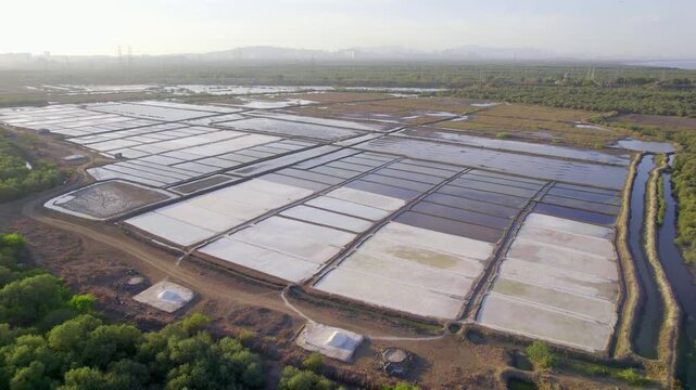 A wide drone aerial movement shot of expansive salt pans or flats, with some beds ready for harvest while the rest are filled with water undergoing the evaporation process, surrounded by mangrove fore