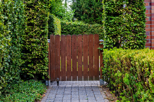 A close-up view of a vertical brown wooden picket gate blocking a paved stone path between lush green garden hedges.