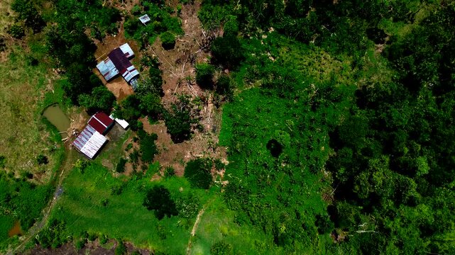 Top Down Drone View of Rural House and Green Fields in Tropical Ecuador, Forest Edge, Farm Clearing, Countryside Landscape and Remote Settlement Scene