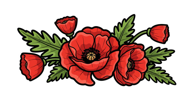 Red poppy flowers with green leaves.