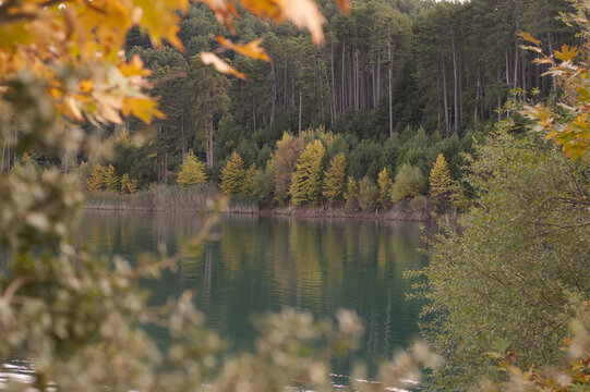Serene Autumnal View of Limni Doxa (Lake Doxa) Framed by Natural Foliage: Tranquil Forested Shoreline and Reflective Waters in Corinthia, Greece