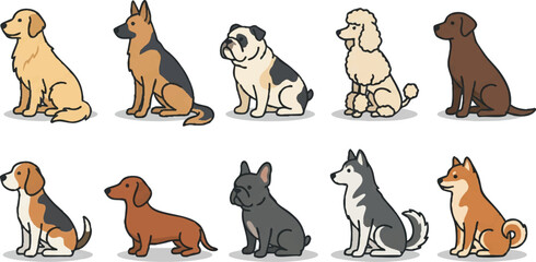 Fototapeta premium Dogs of various breeds sitting still.