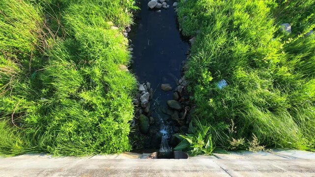 Sewage water flows through green grassy drainage ditch into river. Concept: water pollution, wastewater discharge and environmental contamination.