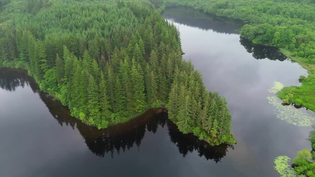 Drone orbit over Loch Ard, Scotland, revealing a conifer forest peninsula, dark mirror water, and shoreline greenery in overcast light - ideal for travel, nature, and landscape use.