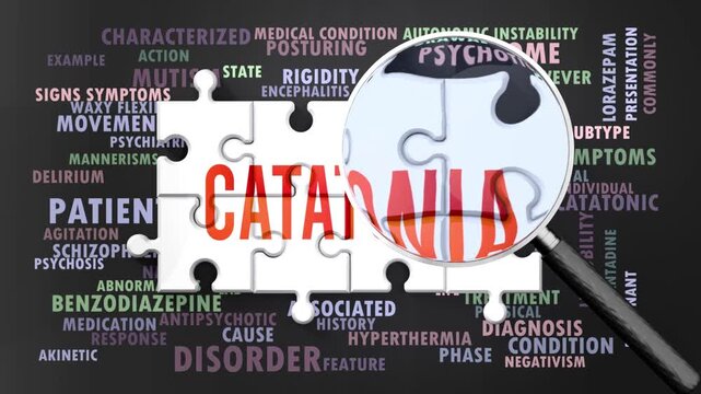Catatonia under magnifying glass, being researched, studied and examined. Most important subjects and ideas closely related to catatonia written around a puzzle.Can be looped.