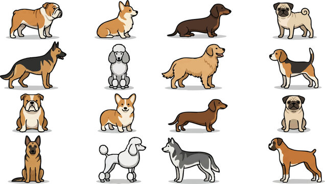 Dogs of various breeds standing still.