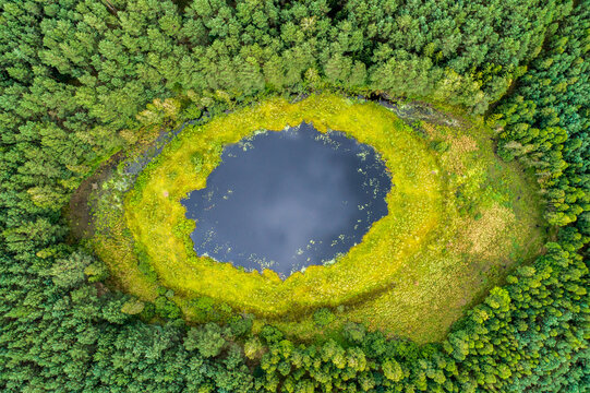 Aerial view of a small dark lake surrounded by a vibrant green marshy ring and dense coniferous forest in Debrzno, Pomeranian Voivodeship, Poland.