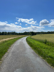 Fototapeta premium European landscape Winding Country Road in summer