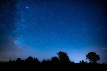 Fototapeta premium Milky Way stars with countryside tree and landscape silhouettes.