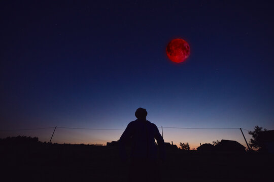 Amateur astronomer observing stars, planets, Moon eclipse and other celestial objects.