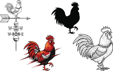 Rooster illustration set featuring a vintage weather vane silhouette and hand drawn cockerel vectors © MdOsiar