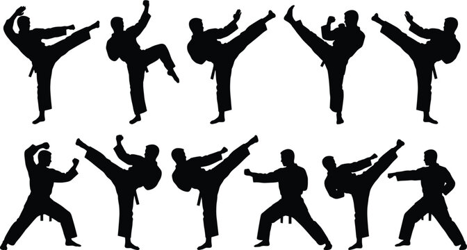 Black silhouettes of martial arts fighters practicing karate high kicks and combat stances on a white background