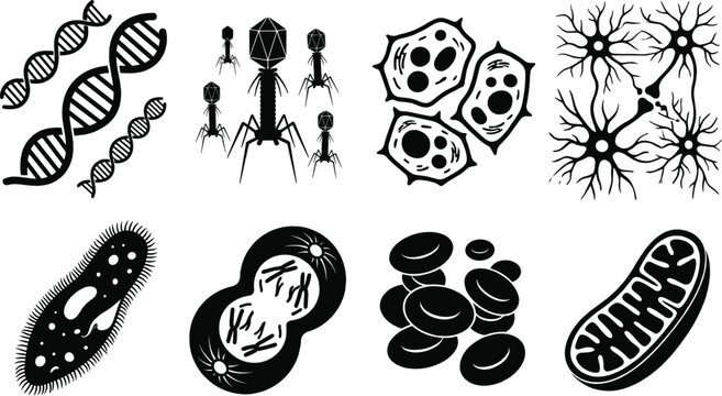 Biology and microbiology science vector icon set featuring dna strands bacteriophage viruses cellular mitosis and mitochondria
