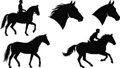 Set of horse black silhouettes including galloping stallion, horse head profile, and equestrian riders isolated on white background © MDNAHIN