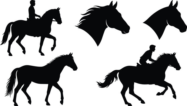 Set of horse black silhouettes including galloping stallion, horse head profile, and equestrian riders isolated on white background