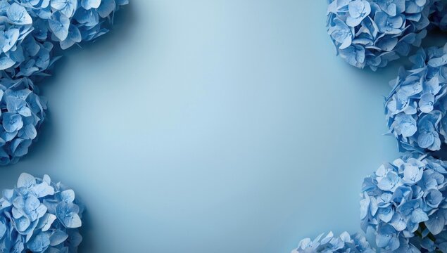 Blue hydrangea flowers on a light blue background