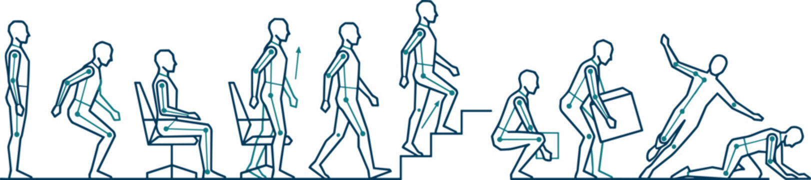 Vector linear illustration of human ergonomics showing a person standing sitting walking lifting boxes climbing stairs and falling down.