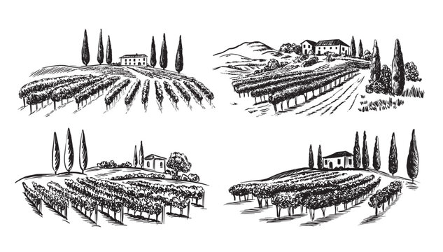 Vineyard landscape with building on the hill hand drawn, set.	
