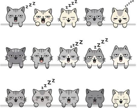 Cute cartoon grey cat with grumpy face looking over a white wall edge