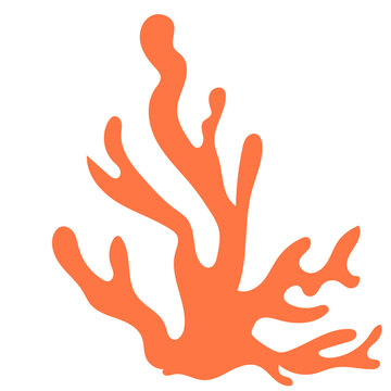  Orange Coral Silhouette Vector Illustration