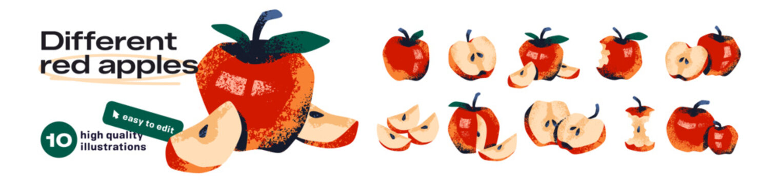 Different pieces of red apple set. Various cut slices of fruit, halves, bitten agricultural crop, and core. Organic farm food, healthy eating. Flat isolated hand drawn vector illustrations on white