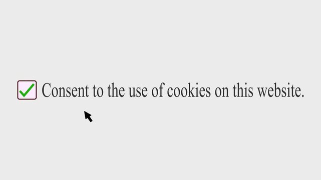 Consent to the use of cookies on this website, Mouse clicking animation. User interface checkbox motion. 