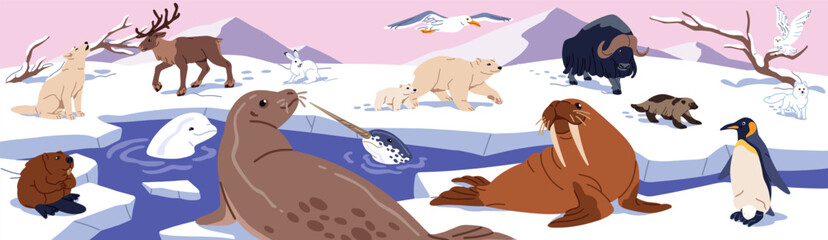 Polar animals on arctic landscape. Wildlife of North and South Pole. Cute seal, walrus and penguin on floe. Northern bear, reindeer, beluga and narwhal among snow and ice. Flat vector illustration © Paper Trident