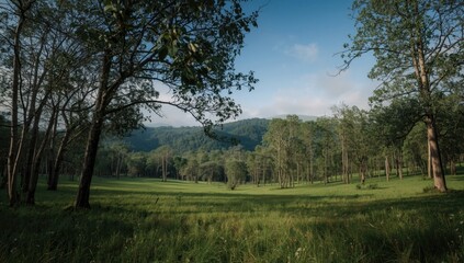 Obraz premium Natural park settings alive with the charm of Mother Earth