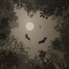 Night sky. Vector background with treetops, night sky, bats, and the moon.  © kozerog2015