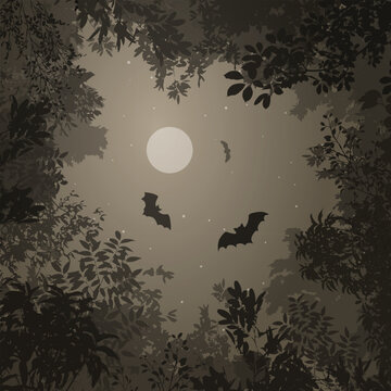 Night sky. Vector background with treetops, night sky, bats, and the moon.	