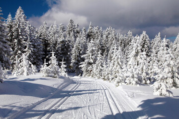modified cross country skiing way Jesenik mountains © Daniel Prudek