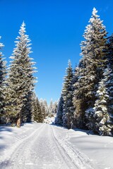 modified cross country skiing way Jesenik mountains © Daniel Prudek