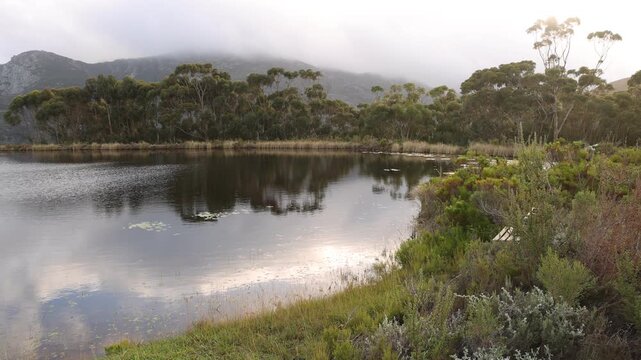 pond , grass , trees and Klein Mountains, Stanford, South Africa as the morning fog burns off
