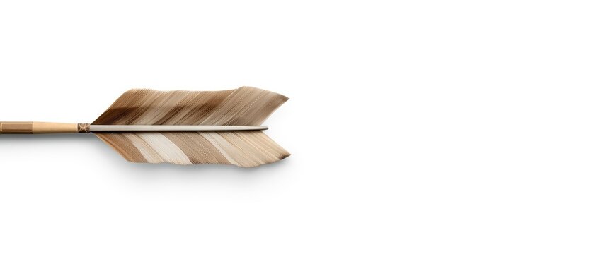Arrow with a unique feather design on a white background
