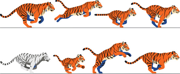 Running and Leaping Tiger Motion Sequence Set with Wild Cat Animation Frames, White Tiger Variant, and Fast Prowling Cubs for Graphic Designs © MinnatunAkter