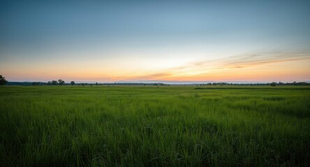 Fototapeta premium expansive meadow landscape with lush grassland under soft dusk sky