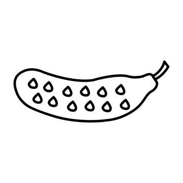 Tindora linear icon 