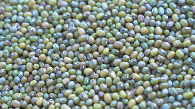 full screen image of mung beans spinning slowly