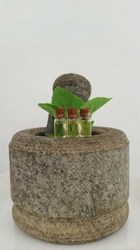 peppermint or Ajwain mint leaves extract syrup, essence or herbal oil inside small glass bottle isolated on white background. Traditional natural ayurvedic treatment medicine. Closeup side view.
