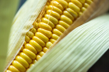 Close-up of fresh yellow corn on the cob with husk partially peeled. © Rawpixel.com