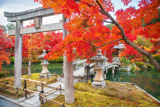 Torii gate to bridge by red autumn leaf of Eikando Temple, Kyoto