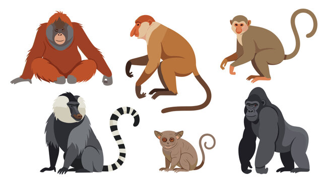 Diverse collection of primate species including a gorilla, orangutan, proboscis monkey, baboon, lemur, and other monkey types.