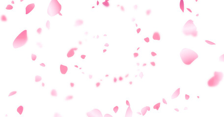 Beautiful floral overlay with flying pink petals at transparent background © Design Zone