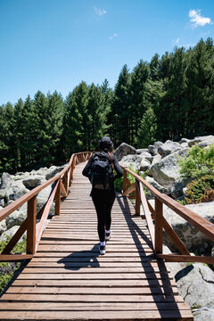 Hiker woman walking on a wooden bridge  in the summer mountain