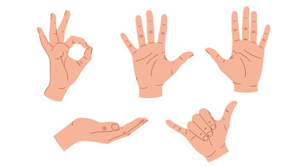 Fototapeta premium Set of five human hand gestures including ok sign, open palm, and shaka sign against a plain white background for communication concepts.